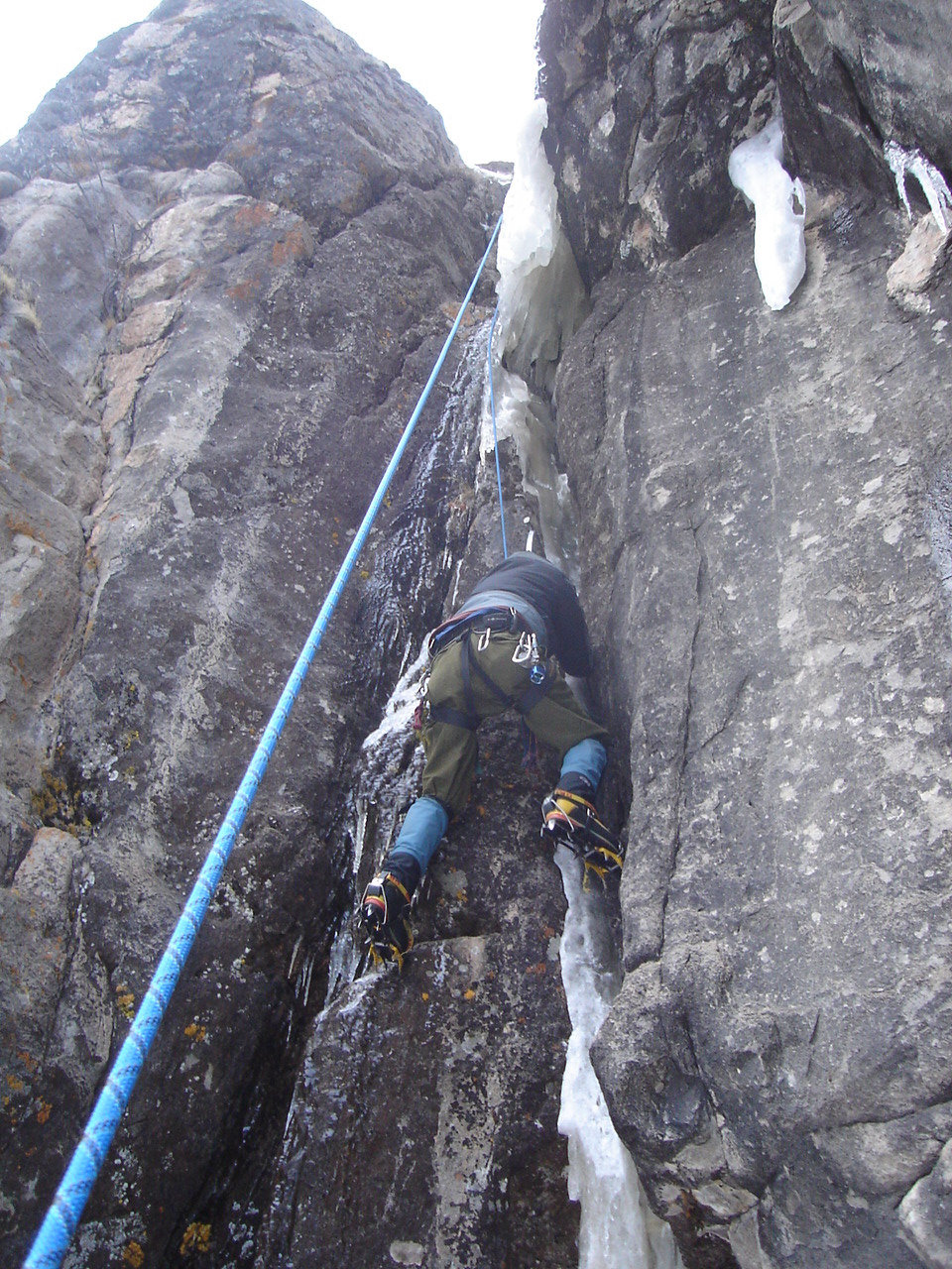 wolf-pass-co-41-43