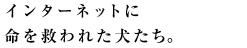 C^|lbgɖ~ꂽB